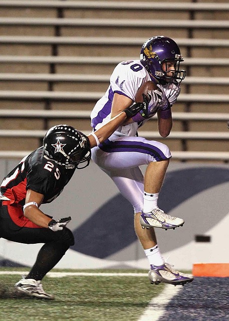 在拥有丰富 在拥有丰富